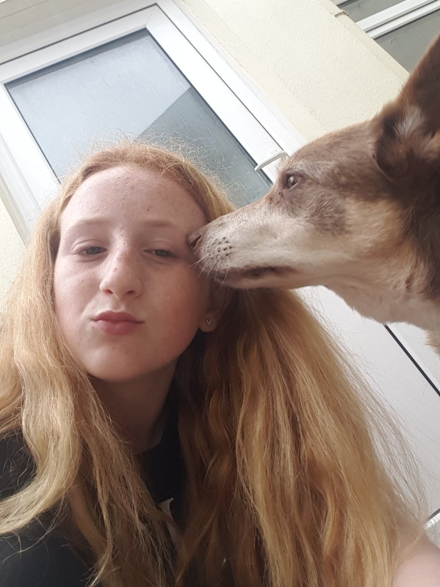 #lovepets #Dog #dogsoftwitter #like #Photography #photooftheday xx