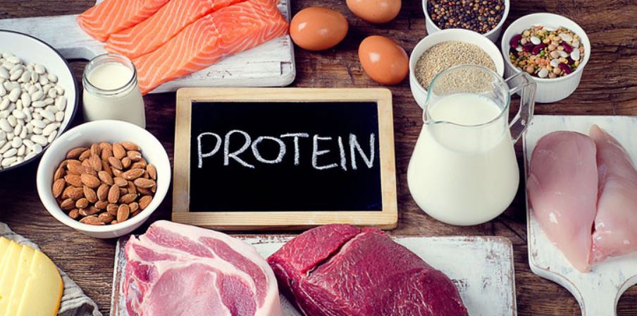 wowigmore's tweet photo. The Benefits of Protein. #diettips #health #weightloss #lifestyle #anythingispossible https://t.co/Hevbo3wkhk https://t.co/yJ9yWdLWcD
