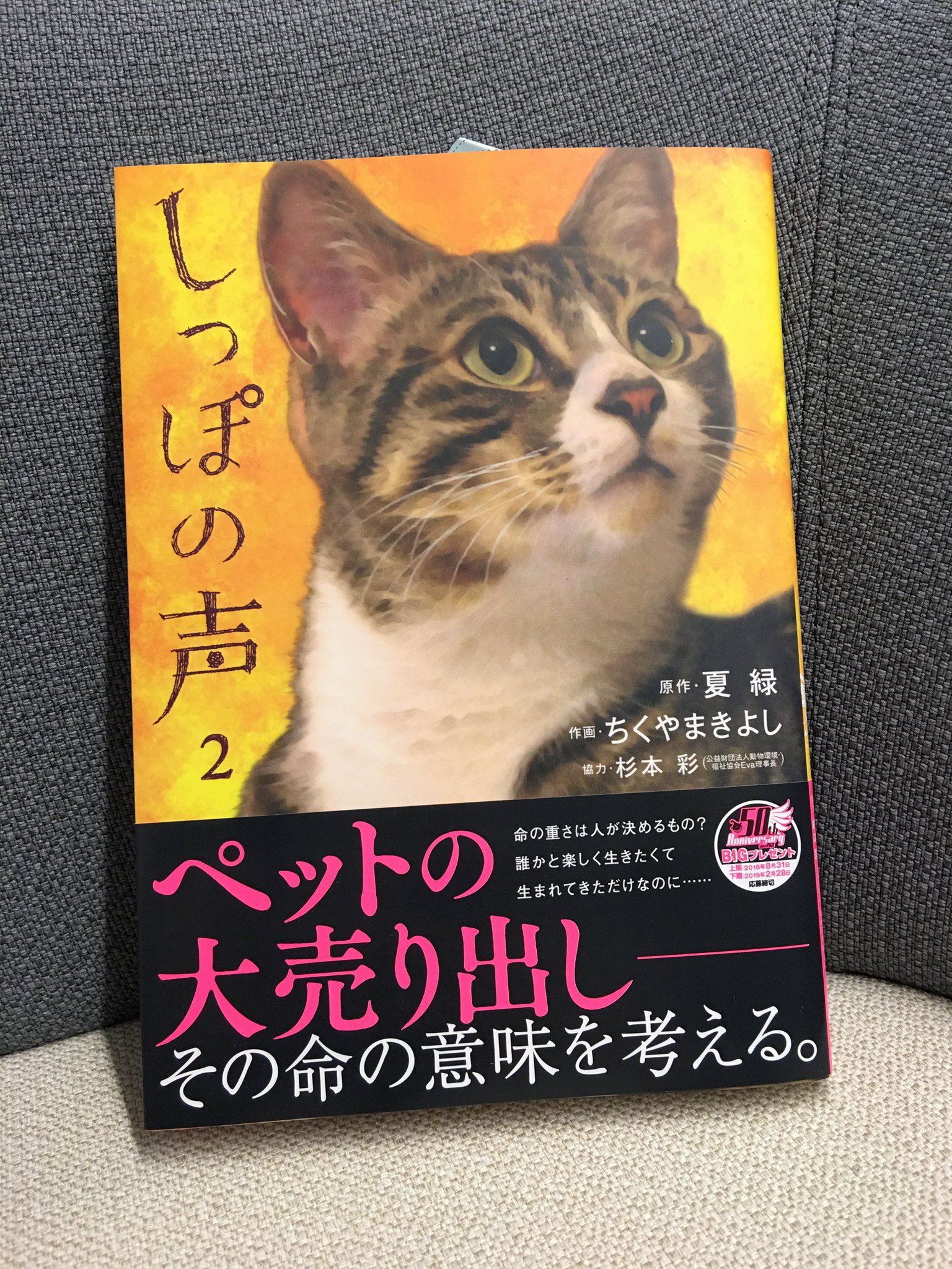 ビッグコミックオリジナル編集部 בטוויטר 本日発売 しっぽの声 第2集 夏緑 ちくやまきよし 杉本彩 保護犬や保護猫の命をつなぐ場ーー譲渡会に参加した天原と獅子神は 怪しいブリーダーの噂を耳にする 命の重さは人が決めるものなのか ペット流通の闇とは
