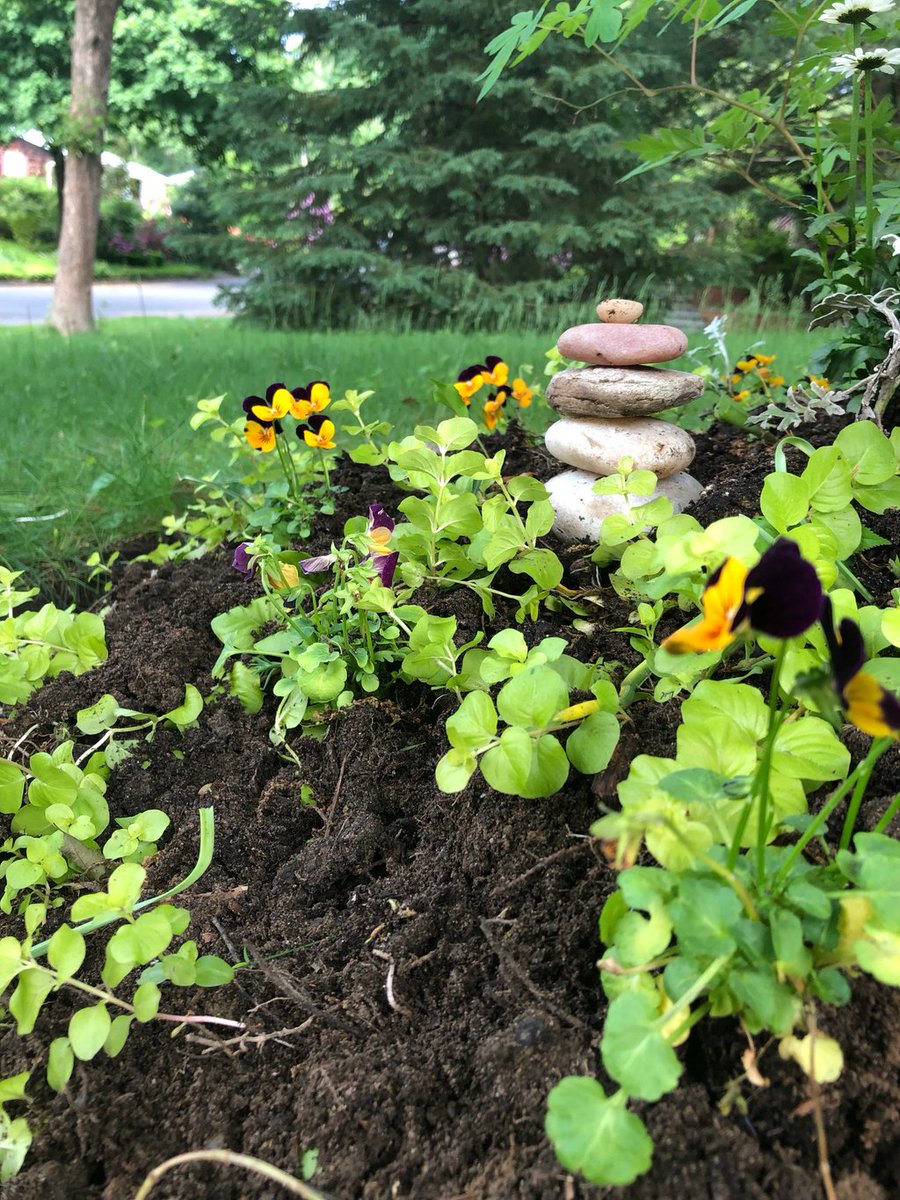 _wishuponarock's tweet photo. Received heartfelt wish from one of our friends in NY. “I planted flowers this Memorial Day weekend in honor of those who sacrificed everything. My wish this year is that we can find a peaceful way to resolve our issues so that no one will need to sacrifice anymore.” 
#Peace https://t.co/F0pQsGmt8d