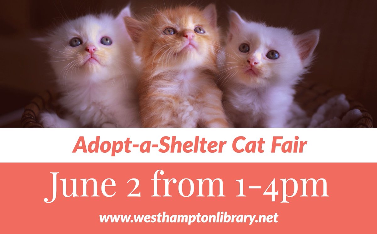 InHamptons's tweet image. Stop by the @whamLibrary this Saturday &amp;amp; pick yourself a new furry friend, &amp;amp; don't worry we're here is to help you pick out names 🐱!  #HappeningInTheHamptons