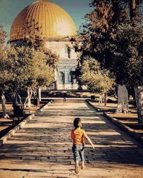 Mh_Darwish's tweet photo. أنتِ لي .. أنتِ حزني وأنتِ الفرح
أنتِ جرحي وقوس قزح ..
أنتِ قيدي وحريتي ..
أنتِ طيني وأسطورتي ..
أنتِ لي .. أنتِ لي بجراحك
كل جرح حديقة !
أنتِ لي.. أنتِ لي بنواحك
كل صوت حقيقة !
#القدس https://t.co/uTs2ANyWT7