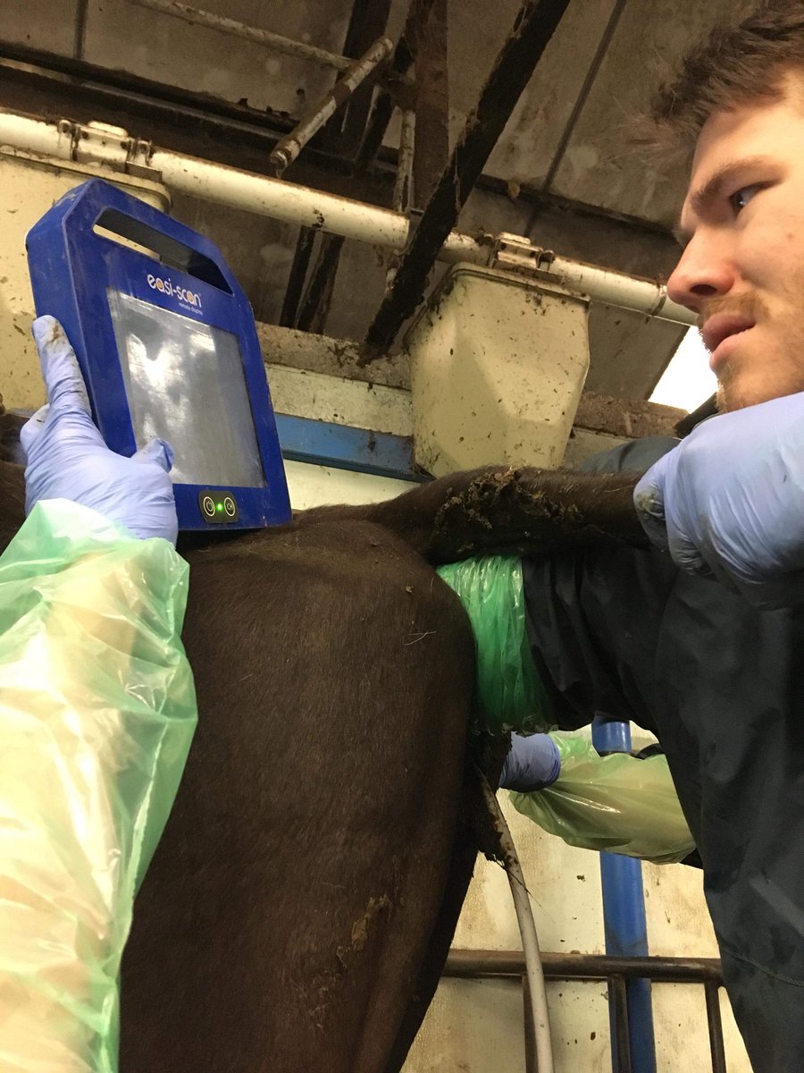 jamesthomsonn's tweet photo. Looking at that farm exam like https://t.co/cCZvswN1VU