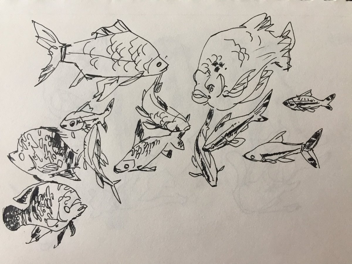 Ostensibly I went there to draw but it was really hot + all the animals were feeling it and napping in distant corners so I didn't get much done