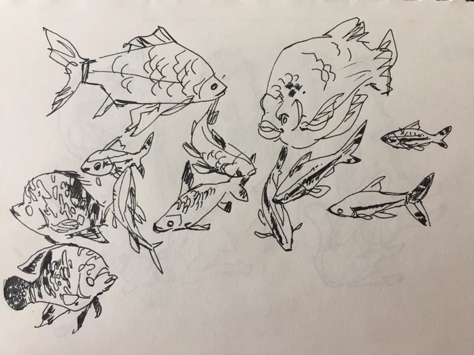 Ostensibly I went there to draw but it was really hot + all the animals were feeling it and napping in distant corners so I didn't get much done 