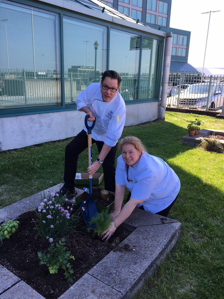 Sheraton Gateway T.O tweet media