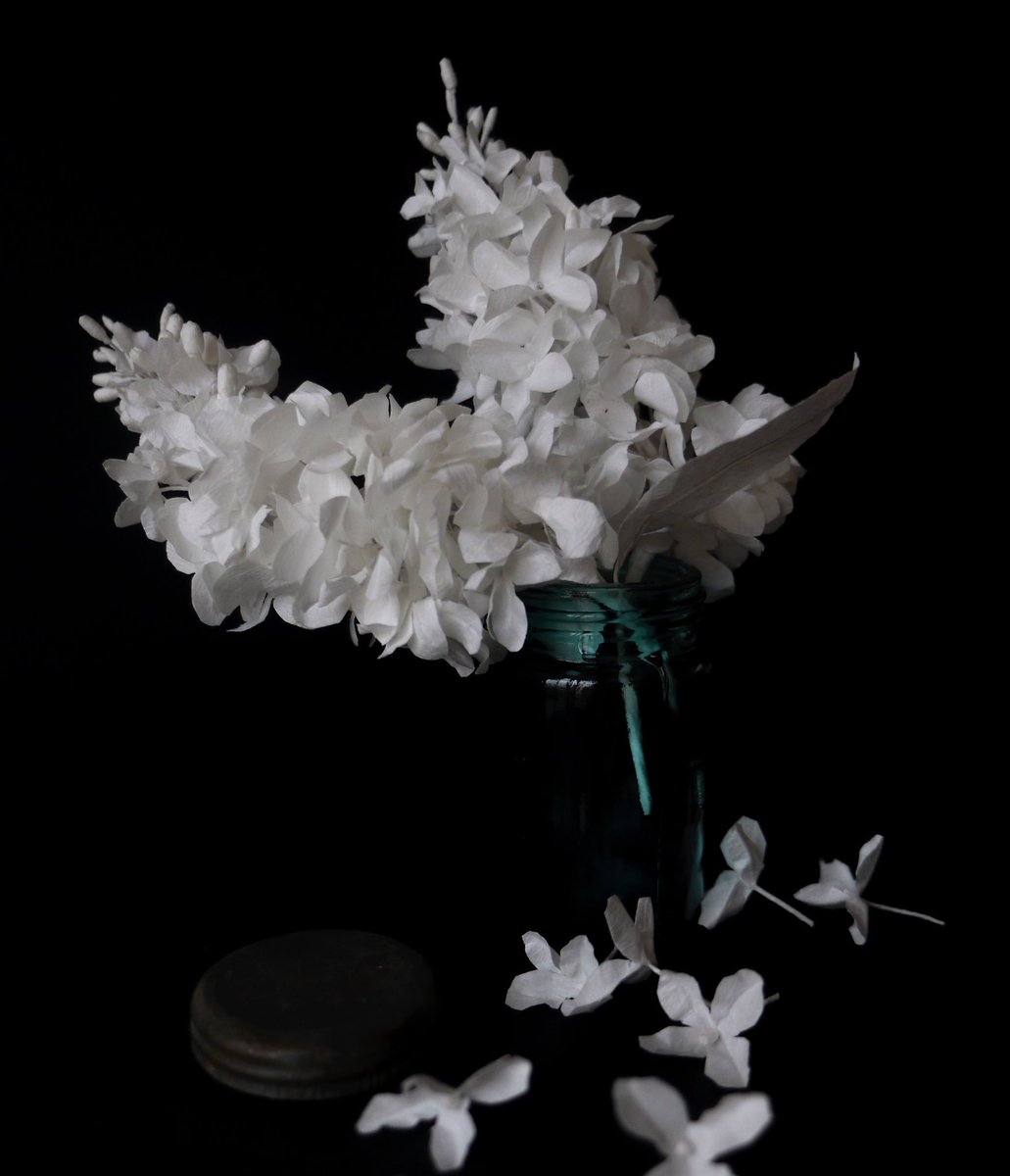 Igelhof בטוויטר ヨーロッパ の 春 の 花 流石に肩凝ったー ペーパーフラワー ペーパークラフト 紙工作 白 ライラック ボタニカル アート ハンドメイド 手作り 紙花 Papercraft Paperflorist Lilac Paper Art Botanical Handmade Handcrafted White