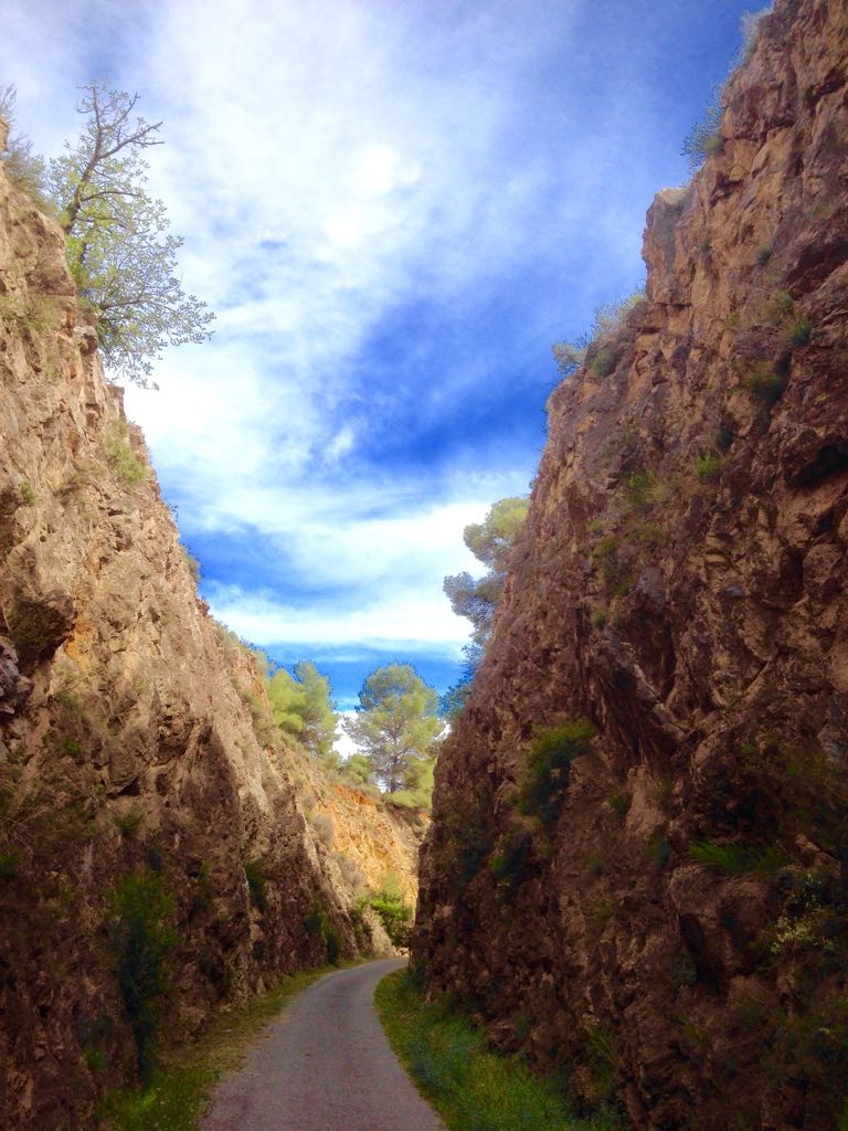 ¿Sabes dónde estamos? 
Éste paraje idílico lo podrás disfrutar en alguna de nuestras RUTAS. 
¿Aún no lo sabías? somos Agencia de Tours ecológicos ; ) 
¡PEDALEA con nosotros a partir del 1 de Junio! ow.ly/ls2u30kfUS1 
#mediterraneanbiketours #InvatturEmprende <a href="/viasverdes_ffe/">Vías Verdes</a>