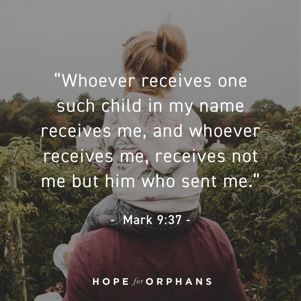 Hope for Orphans tweet media