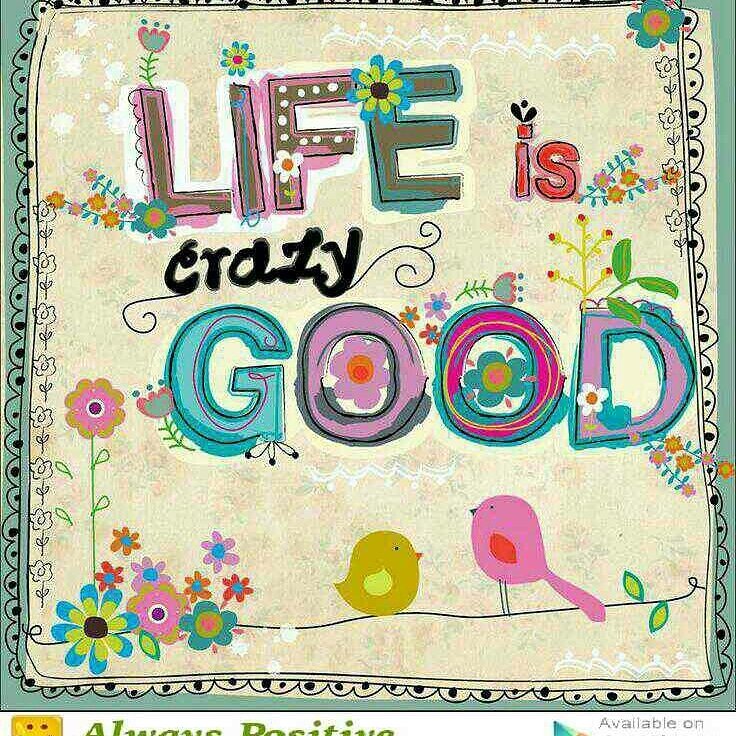 katymom2day's tweet photo. #TrueStory https://t.co/WFL9egVosv