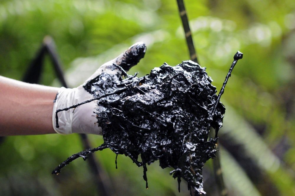 For indigenous women in Ecuador, environmentalism and women's rights are closely linked: Past drilling projects have resulted in increased assaults, cancer, and infertility. : The Erin Brockoviches of Ecuador bit.ly/2x9f5Jx