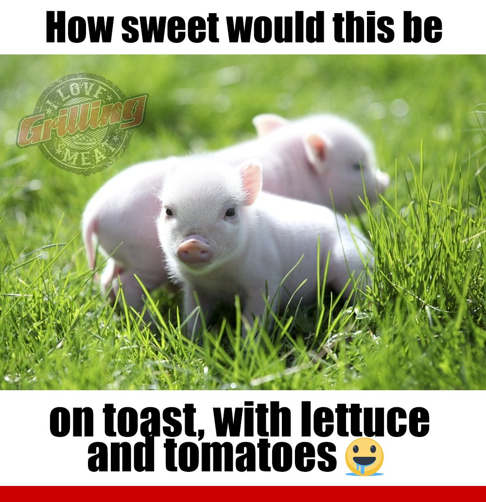 iluvgrillinmeat's tweet photo. Awww... Who said we meat eaters don't love animals? 
#BBQjokes #ilovegrillingmeat #foodie #grillingmeat #smokingmeat #bbqtime #meateater #meatlover #meateaters #meatlovers #grilling #barbecue #barbeque #pitmaster https://t.co/Z2CJIN7wG6