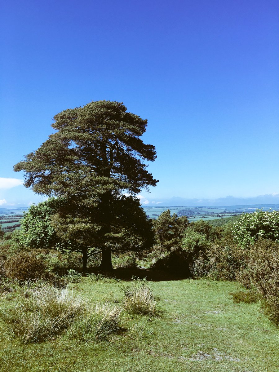 TMF_Art's tweet photo. Half term’s are made for exploring 🌿☀️ #haddonhill #wimbleballlake https://t.co/FDd5XSAqeD