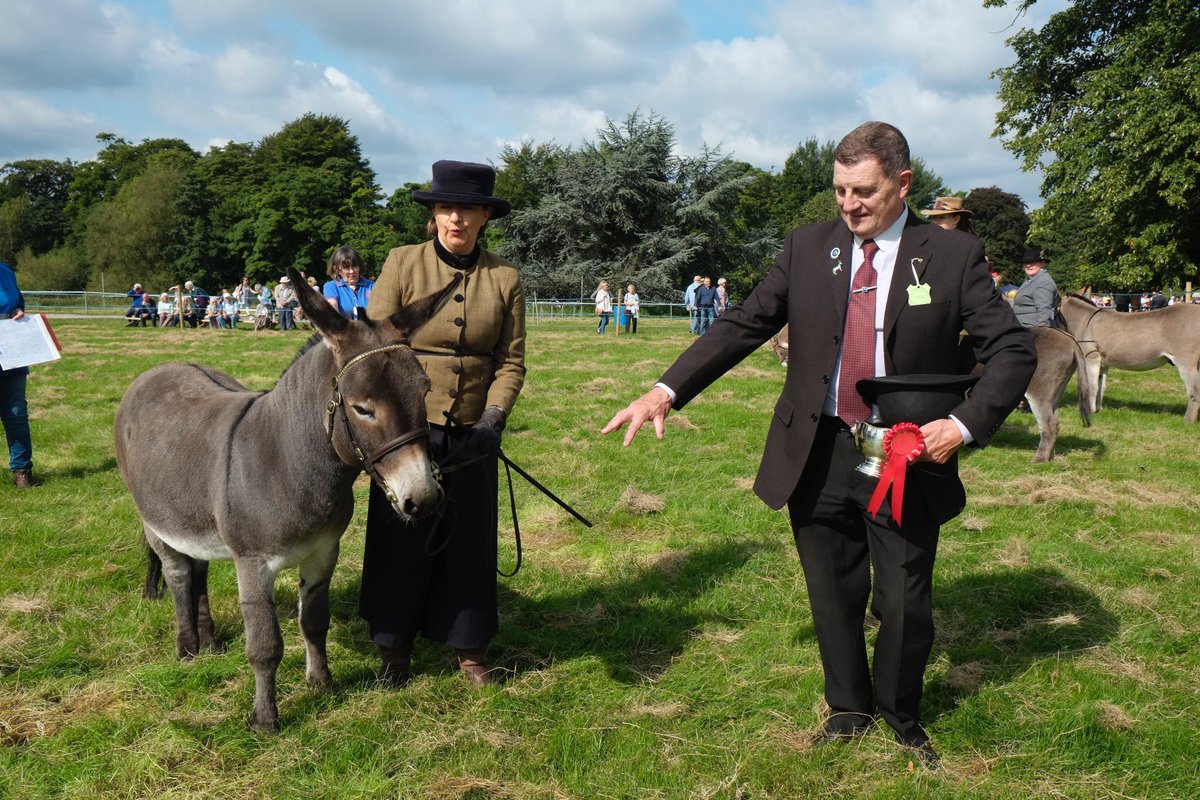 Here are some images from our Donkey Section. For more information about Donkeys at Poynton Show visit our website; poyntonshow.co.uk/donkeys/
Photos kindly provided by North Cheshire Photographic Society