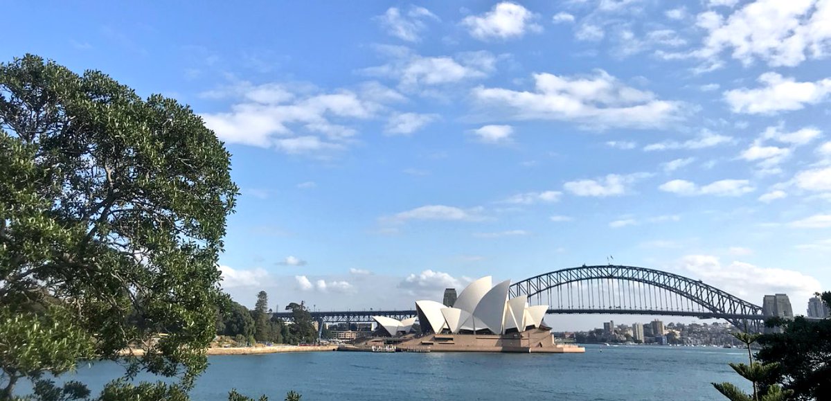 QueensUniv's tweet photo. Our students are in Australia learning the art of storytelling and cultural identity. Apparently, they’re also wallaby whisperers! #jbip2018Sydney #jbip2018 #myroyalsummer https://t.co/Uxquimpo2O