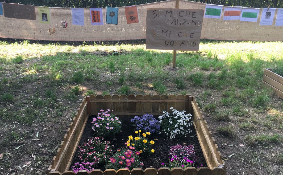ComuneMI's tweet photo. Oltre trecento orti "nascosti" in nidi, scuole d'infanzia e primarie. Circa 250 quelli nati da progetti di fondazioni e associazioni che hanno coinvolto bambini, famiglie ed educatori: https://t.co/Bvzz2wA5Fj https://t.co/aSiUzNOicz