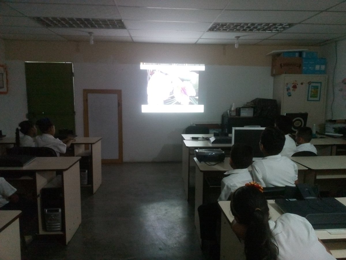 BocaneyCbit's tweet photo. @#Fundabit #OrquideaFlorNacional,  video y conversatorio dirigidos a niños de 6to A sobre el cuidado de  nuestra flora en especial conociendo Nuestra Flor Nacional La Orquidia. @JauaMiranda @vane_prieto @FundabitCojedes @MaryoriMolina https://t.co/DXNFo4lhmT