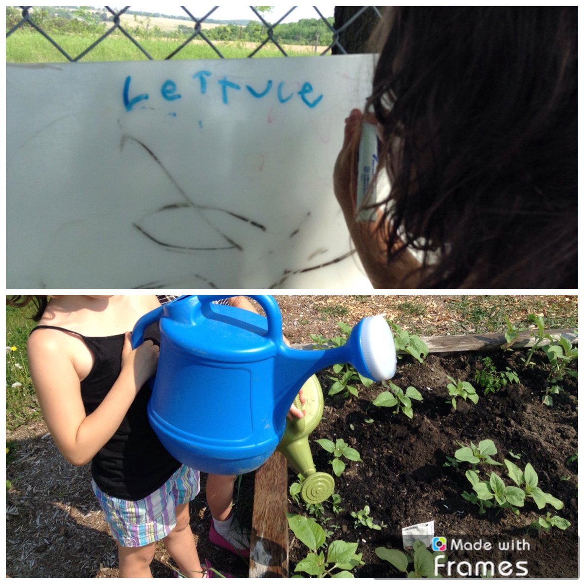 #tldsbkteach #tldsblearns Watering and creating new garden signs.