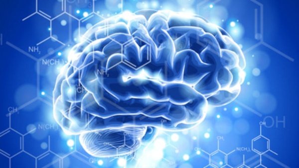 CMSRIResearch's tweet photo. Shockingly high levels of aluminum were found in these brain samples. It’s widely acknowledged that aluminum can enter the brain and disrupt its functions. https://t.co/UCdKV73VNg https://t.co/O5voe7OZCe