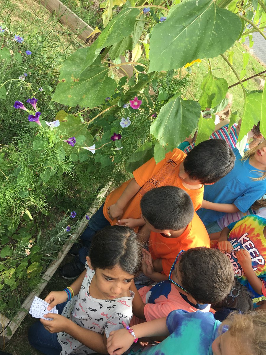 Scientists are hard at work exploring and observing our school garden 🌼 <a href="/Buda_Bulldogs/">Buda Elementary</a>