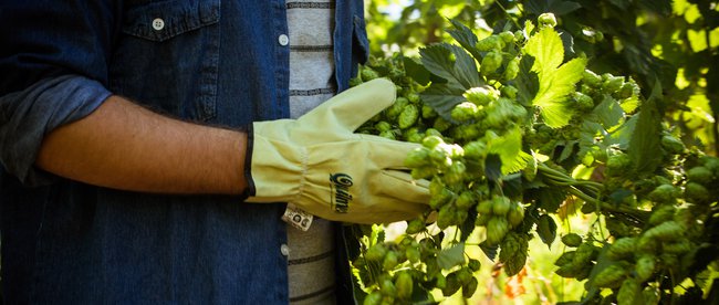 Solo Negocios tweet media