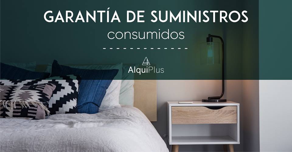 alquiplus's tweet photo. ¿Quieres disfrutar del alquiler de tu vivienda con total tranquilidad? 👌🏡

AlquiPlus asumirá todos los suministros consumidos entre inquilino e inquilino, entre otras garantías.

¡Contacta con nosotros y te informaremos de todos nuestros servicios y garantías! ☎️😉 https://t.co/gMH5RFaEbD