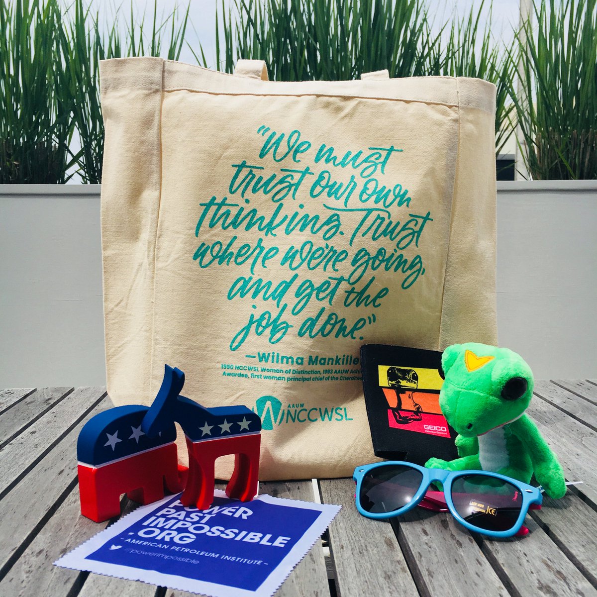 NCCWSL's tweet photo. Check out these #NCCWSL18 totes! Thanks for the swag, @APIGlobal, @GEICO, @GSPMgwu! https://t.co/reAypKBUzc