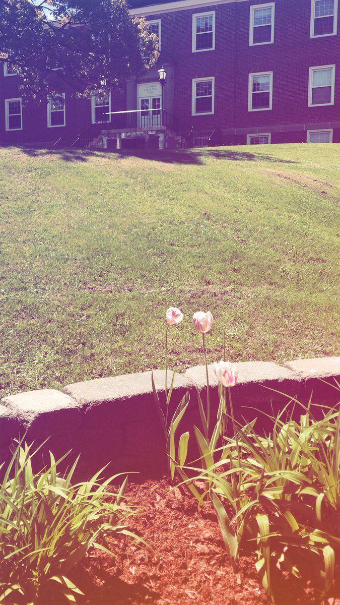 A beautiful Spring day on the <a href="/UNBFredericton/">UNB Fredericton</a> campus! 🌷🌺