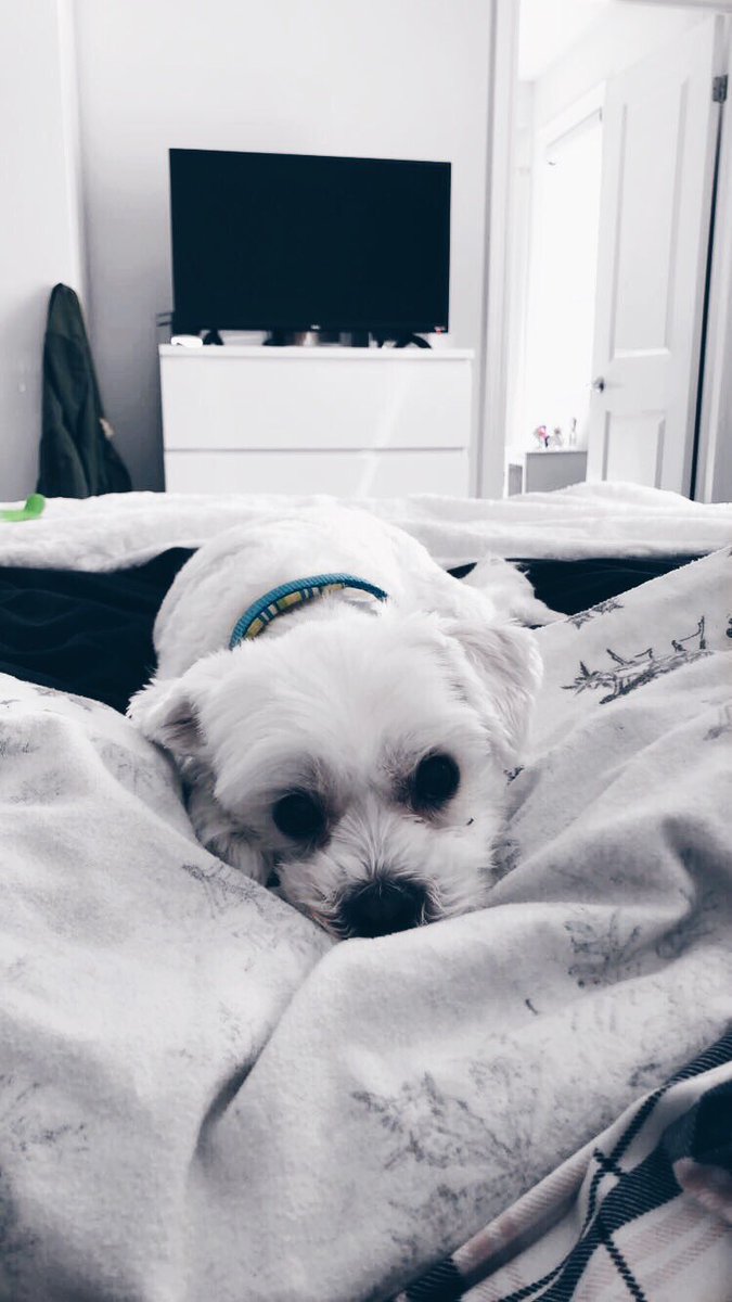 _vnesssax's tweet photo. forever and always the light of my life 😩💕 https://t.co/QFkLfxk3sn