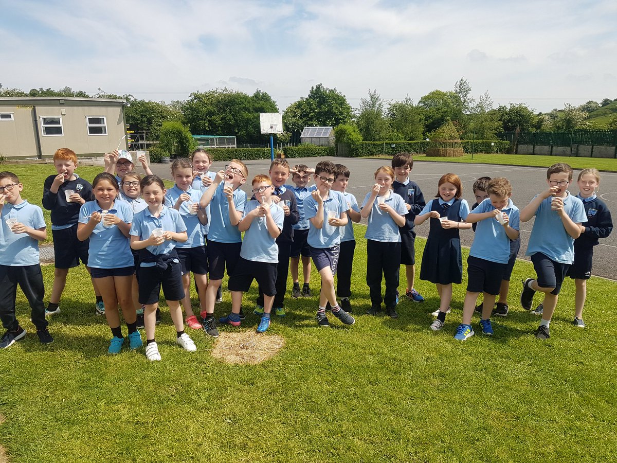 4thclass2_Slane's tweet photo. Our ice cream went down a treat @Slanens! 🍦We give it a 10/10! 
Recipe:
500ml double cream  (whisk slightly)
1 tin condensed milk (stir in and mix well)
Mix in chopped up crunchies 
Freeze and enjoy! 😍 https://t.co/xsM5nrlhO2