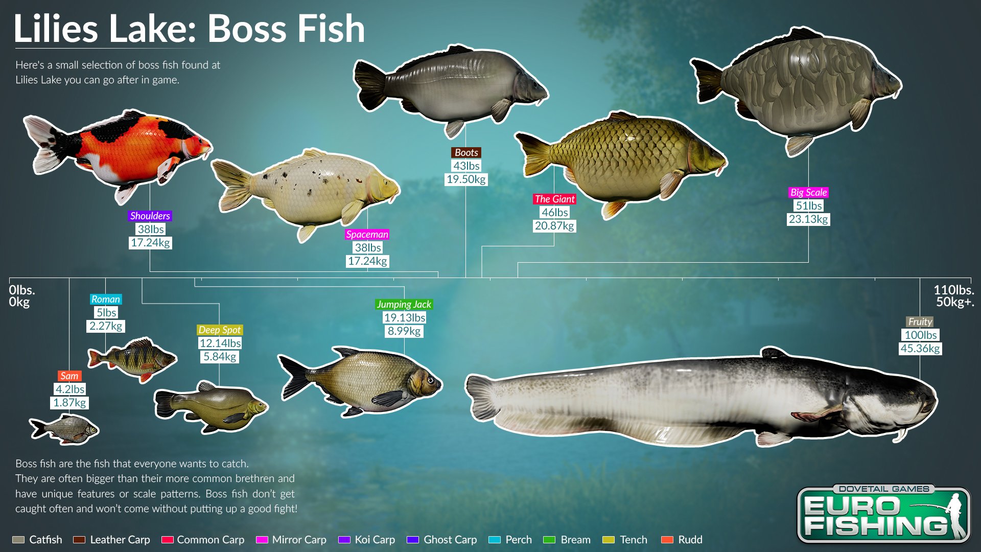 Bassmaster Fishing 2022 on X: How many boss fish have you caught on Lilies  so far?  / X
