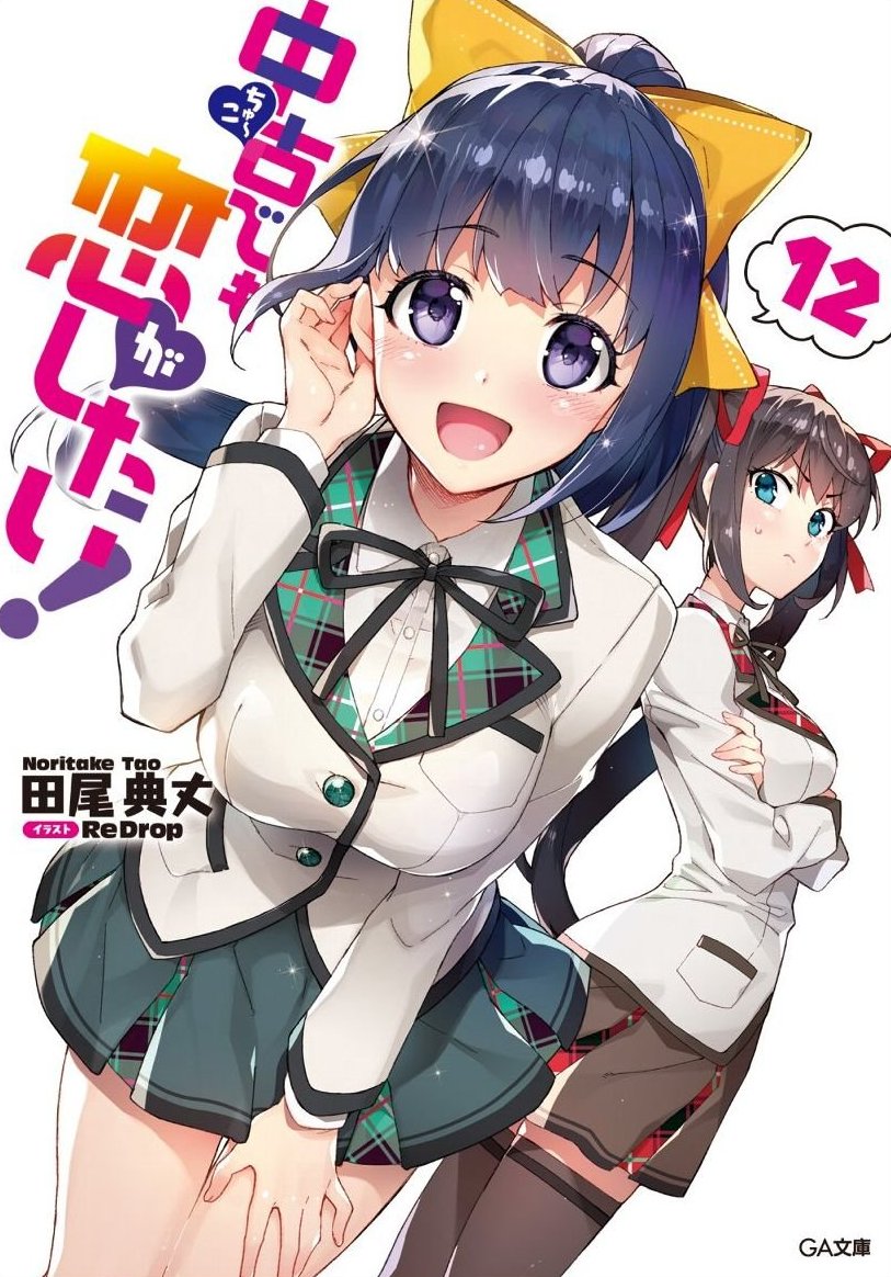 Chuuko Demo Koi Ga Shitai Chuuko demo Koi ga Shitai! (Light Novel) Vol.12 Cover – June 14, 2018