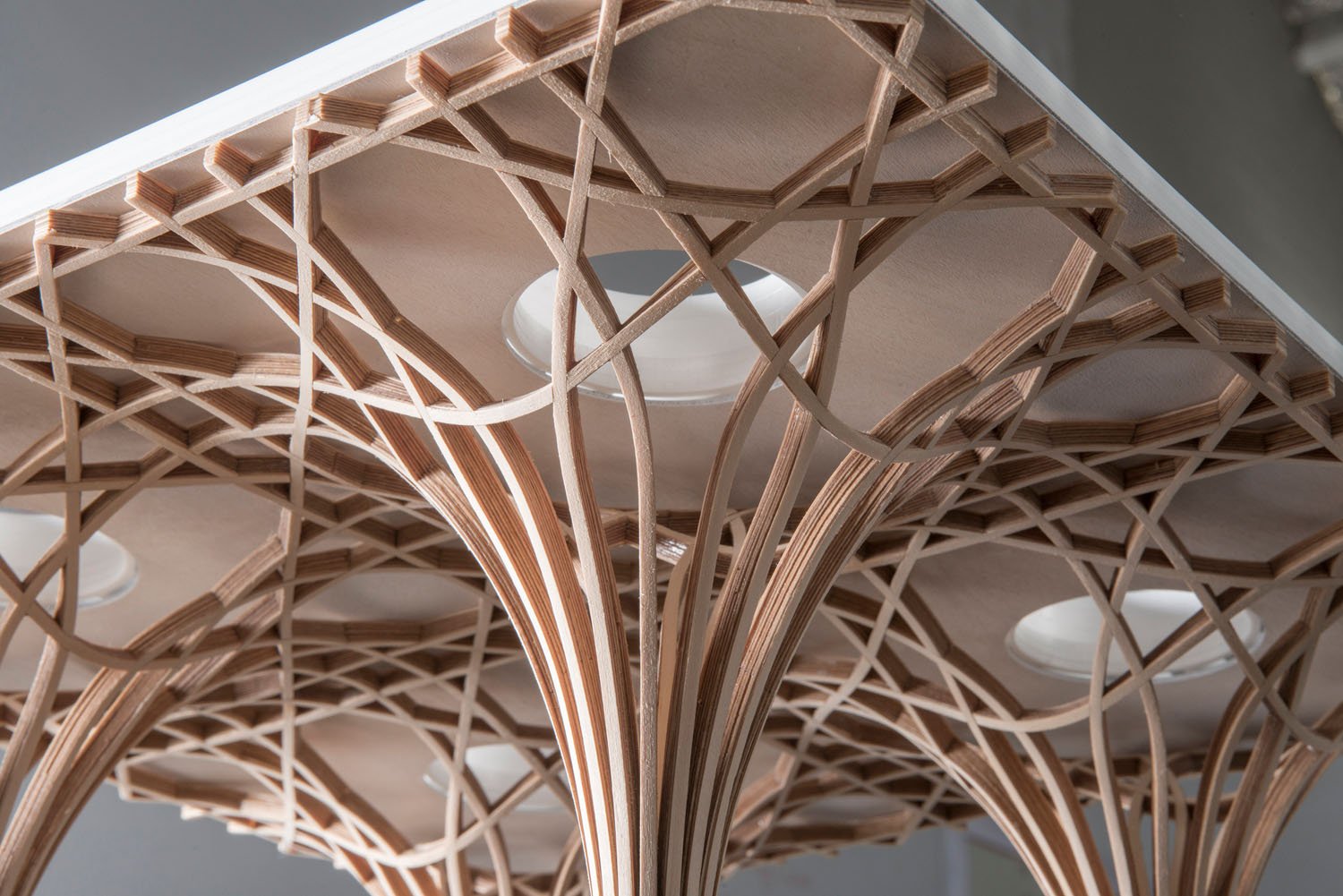 Tree Structure Architecture