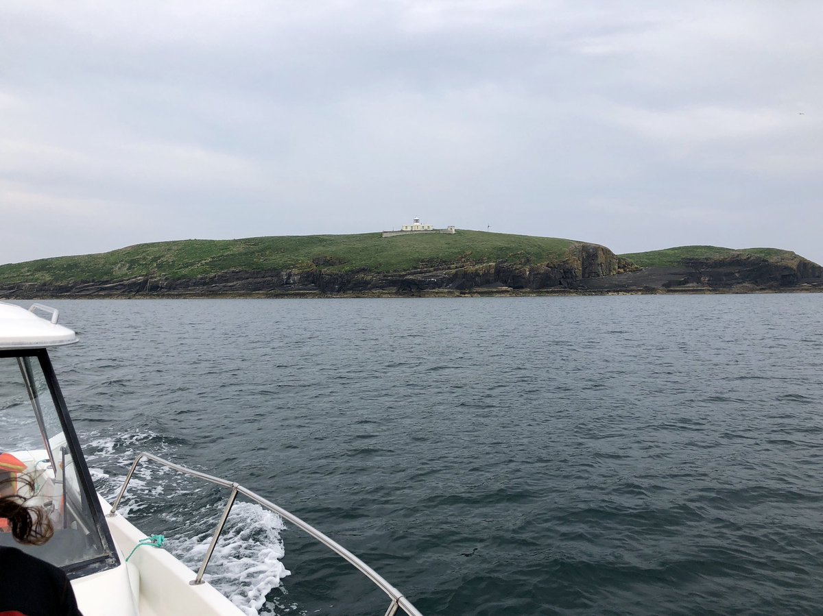 Gwenan_Griff's tweet image. Chwarae knock doors efo Bear Grylls. #ynysoeddtudwal #morio