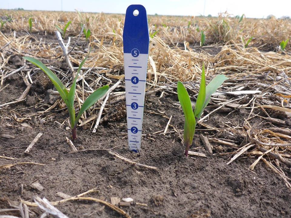 IowaSoybeans's tweet photo. Check out some of the #research18 photos our @OnFarmNetworkIA and Analytics teams took last week: https://t.co/4jZSty9yq9 https://t.co/yKBAYUBo8V