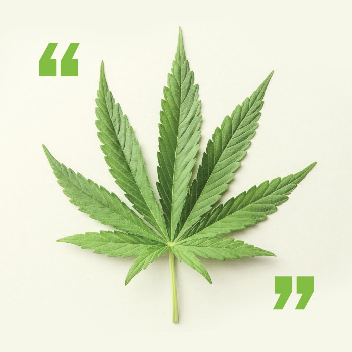 #WednesdayWisdom “It is time to tax and regulate marijuana like alcohol. It is time to end the arrests of so many people and the destruction of so many lives for possessing #marijuana.'
.
.
#BernieSanders #endthestigma #cannabisadvocacy