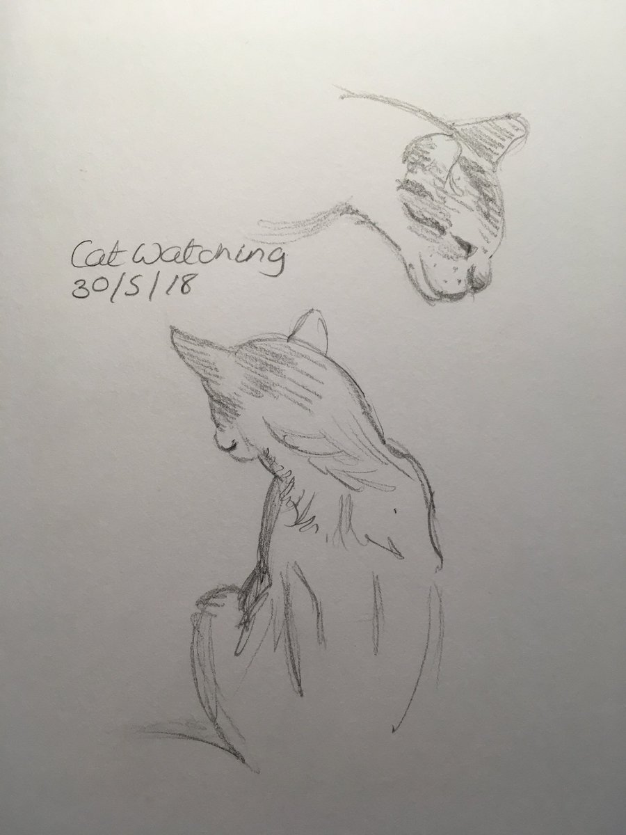 tweetingpainter's tweet photo. #EggTimerSketchChallenge #Day150-2018 #CatWatching #Feline #SiameseX #TheEveryDay #Sketch #Artist #FromLife #May #Drawing #Sketch #Shadows #Sketching #Suffolk https://t.co/oGfxGXiw0u