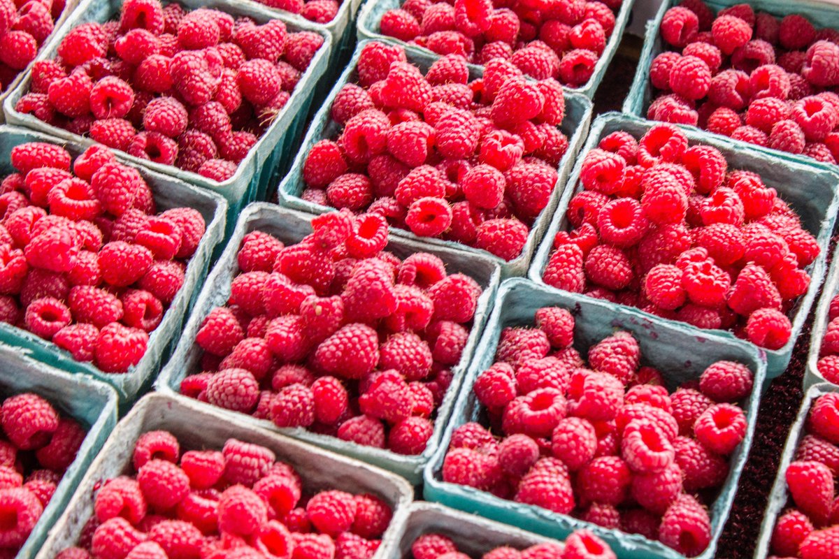 1800baskets's tweet photo. Mmmm raspberries...What's your favorite cheesecake flavor? Raspberry Swirl, Original, Brownie Marble, Apple Crumb? Best of Junior's Cheesecake Voted #1 "The Best Cheesecake in N.Y." by New York Magazine #CheesecakeChat #raspberrycheesecake #newyorkcheesecake https://t.co/cAk82dfEPD