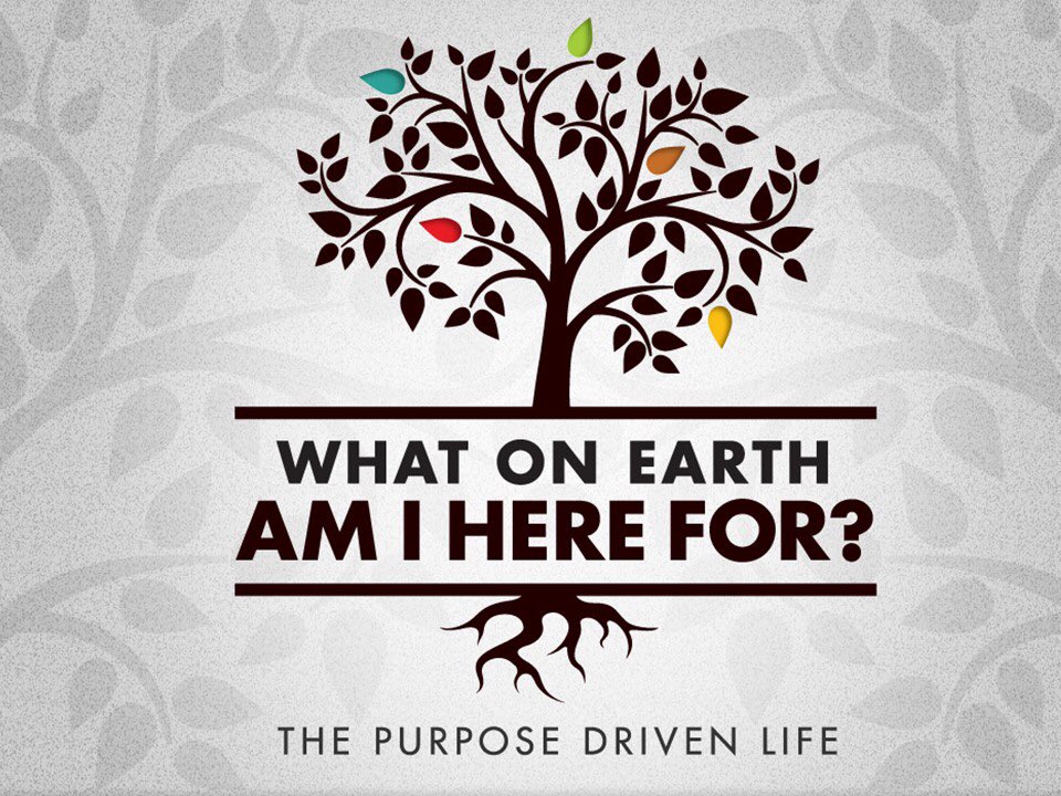 NO SESSION TONIGHT!! We’re taking a break over half-term. Look forward to seeing you NEXT Wed 😊

thornhillchurch.org.uk/what-on-earth-…