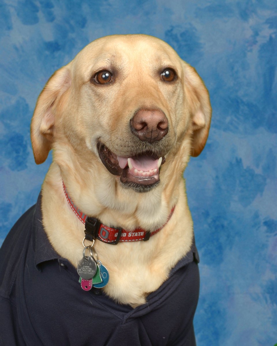 acrawfordtv's tweet photo. Meet Linda.
She's a service dog for a 5th grader at Orange City Elementary.
And she proudly posed for her own photo in the yearbook!!! 
Photo Courtesy: Dean Stewart Photography
@WESH https://t.co/vzlEH27tfC