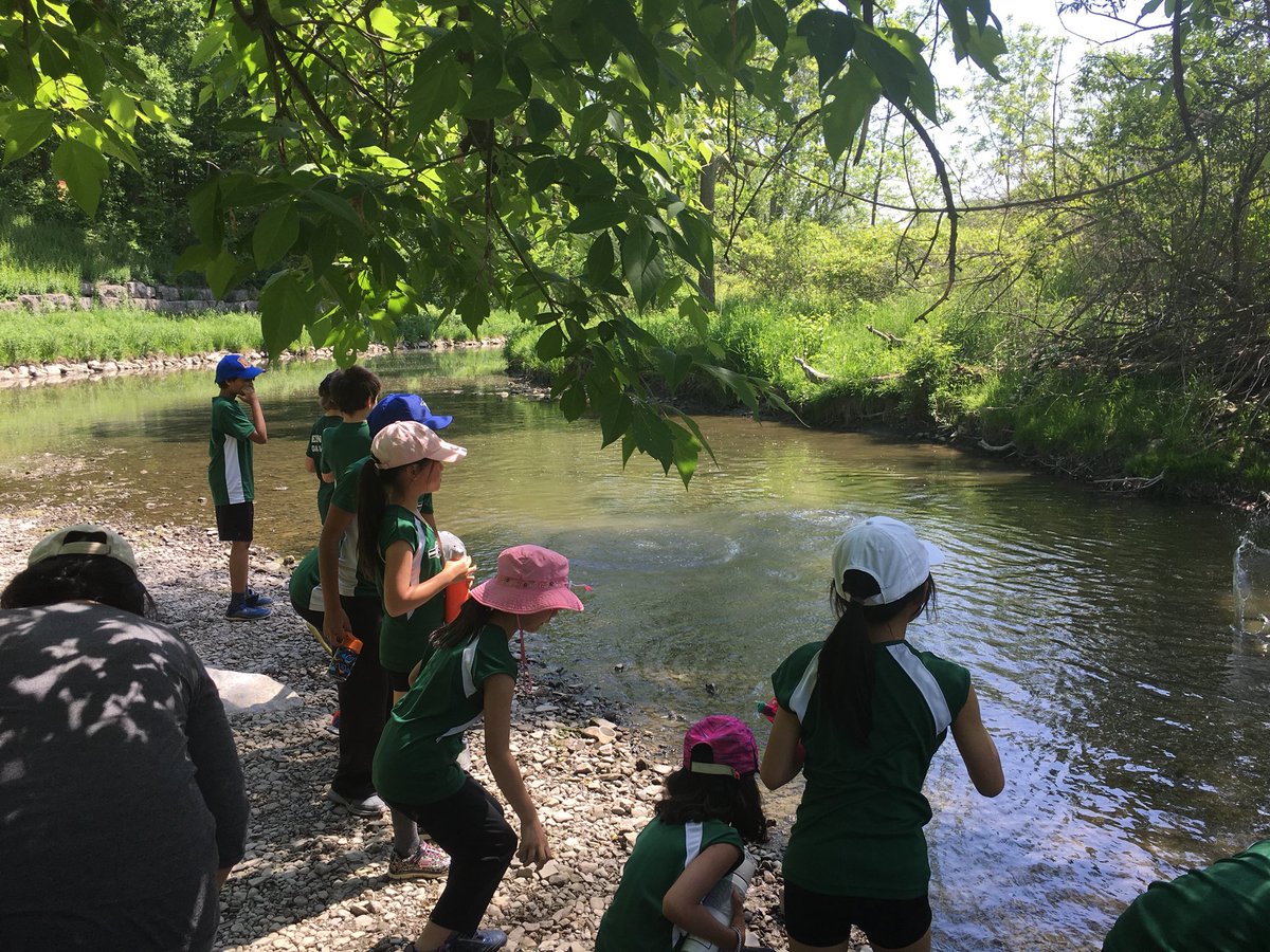 fernhilloak's tweet photo. Our Grade 3 students exploring the wetlands @HumberArb! https://t.co/2ZNRSeSliq