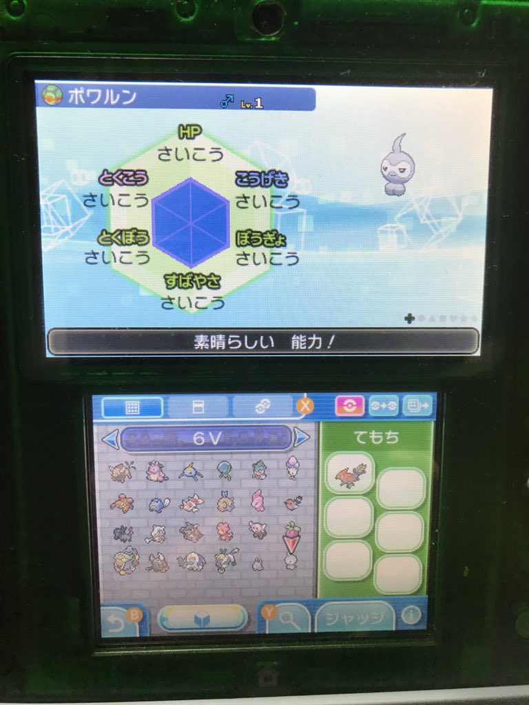 ポケモン6v記録 Twitter