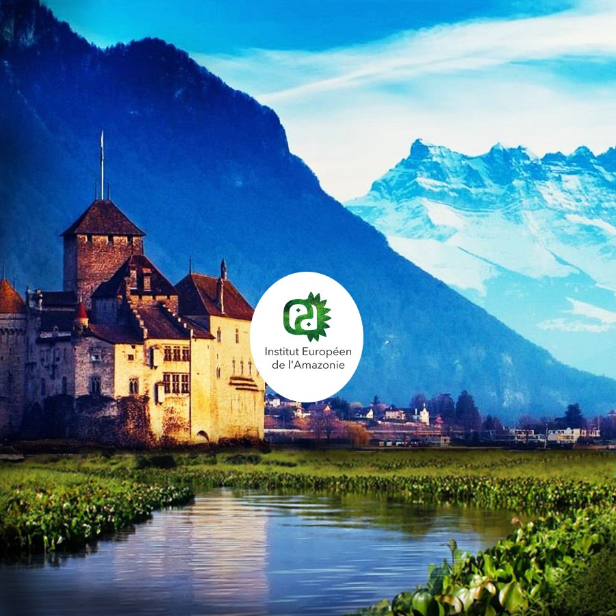 ieamazonie's tweet photo. Sentez et vivez la nature à chaque respiration!
.
Nous sommes @ieamazonie
#amazonie #biodiversité #faune #flore #nature #likeforlike #respiration https://t.co/AaHeDGCAlh