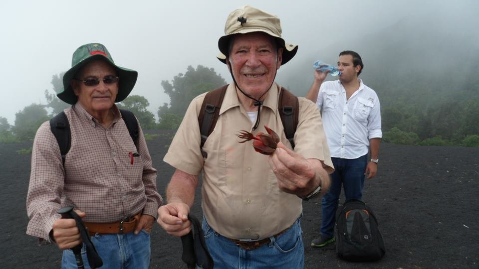 PacayaPn's tweet photo. Chiranthodendron pentadactylon, mejor conocido en la región como "Majahue", es una de las plantas endémicas de la zona... y que le da nombre a uno de nuestros miradores en la ruta turística. https://t.co/YSLRk6uf6i