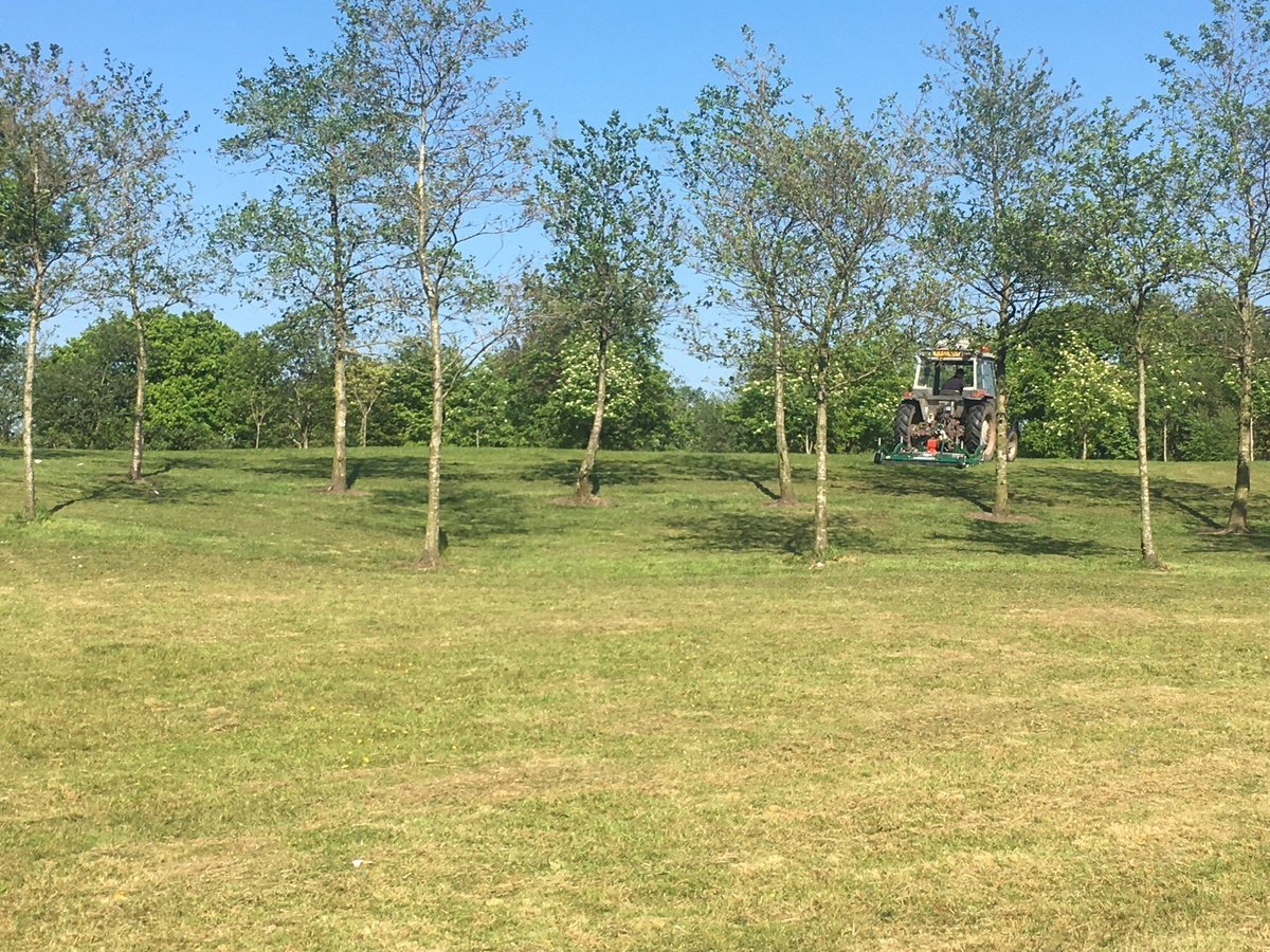 Sharrocks tweet media