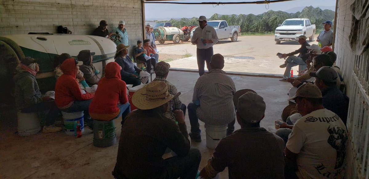 FriasBencomo's tweet photo. El contacto directo con la gente permite conocer de primera mano las problemáticas y necesidades de las comunidades, mantenemos el compromiso de ser gestores permanentes.
Fortalece escuchar palabras de aliento y adhesiones a nuestro proyecto.
@JDiazDeLaTorre @Luiscasob https://t.co/d9Dip1NFRi