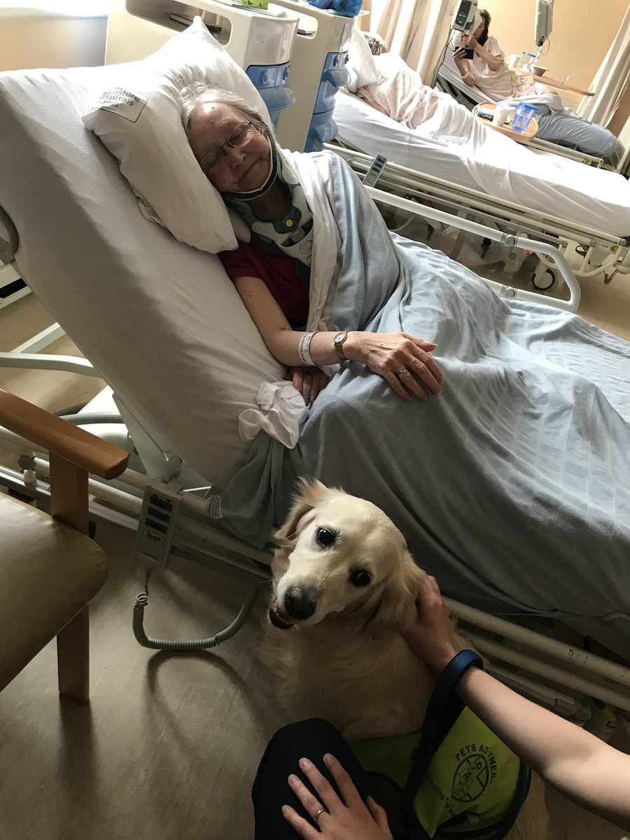 funkymunkyuk02's tweet image. @Schofe @hollywills @SirCliffNews we want to share to the world this amazing lady who is sir Cliff Richards biggest fan, the picture below is of her 6ft Cliff which keeps her smiling daily 😊 please could you share and retweet and see if he will make her smile bigger 😁😁 xx