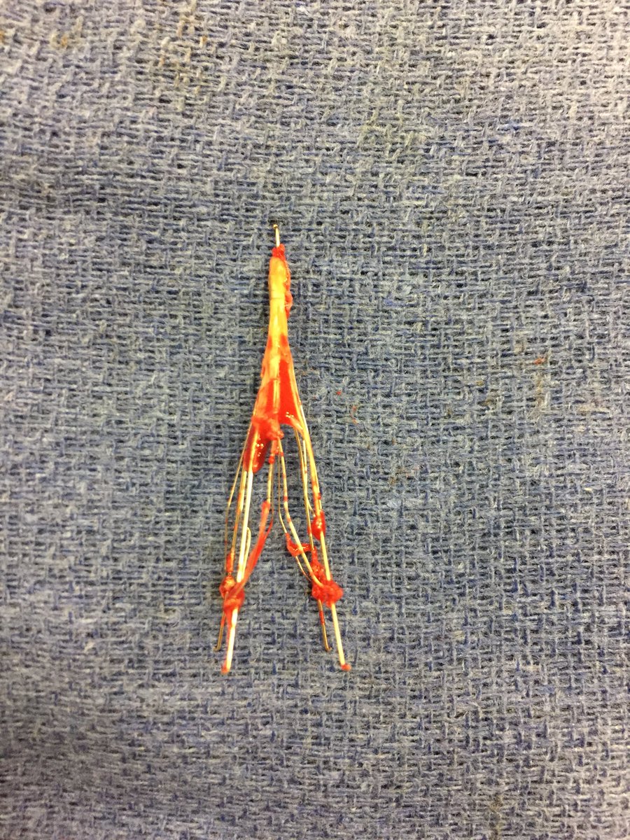 KMSchramm's tweet photo. The last time this guy saw the light of day:
1. Miley Cyrus was still Hannah Montana, 
2. The iPhone didn’t exist,
3. I was still in College and society spoke mostly in Borat quotes.
#12yearvintage #GTFO #filterout @rkryu @ColoradoIR #IRad https://t.co/8evfPLdto6