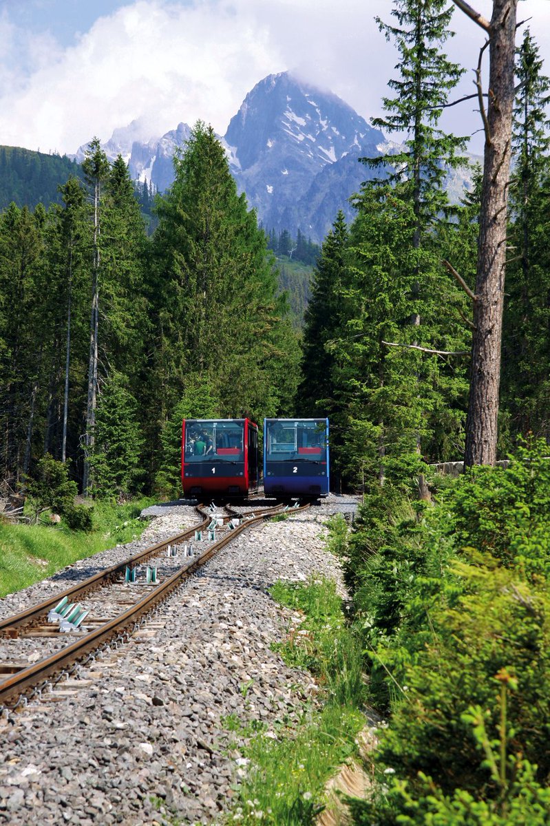 SlovakTB's tweet photo. 22 Interesting facts about #Slovakia via @TelegraphTravel

https://t.co/j2J37Of59Z 

#Goodideaslovakia #travel #Europe https://t.co/lgWIWZeoMp