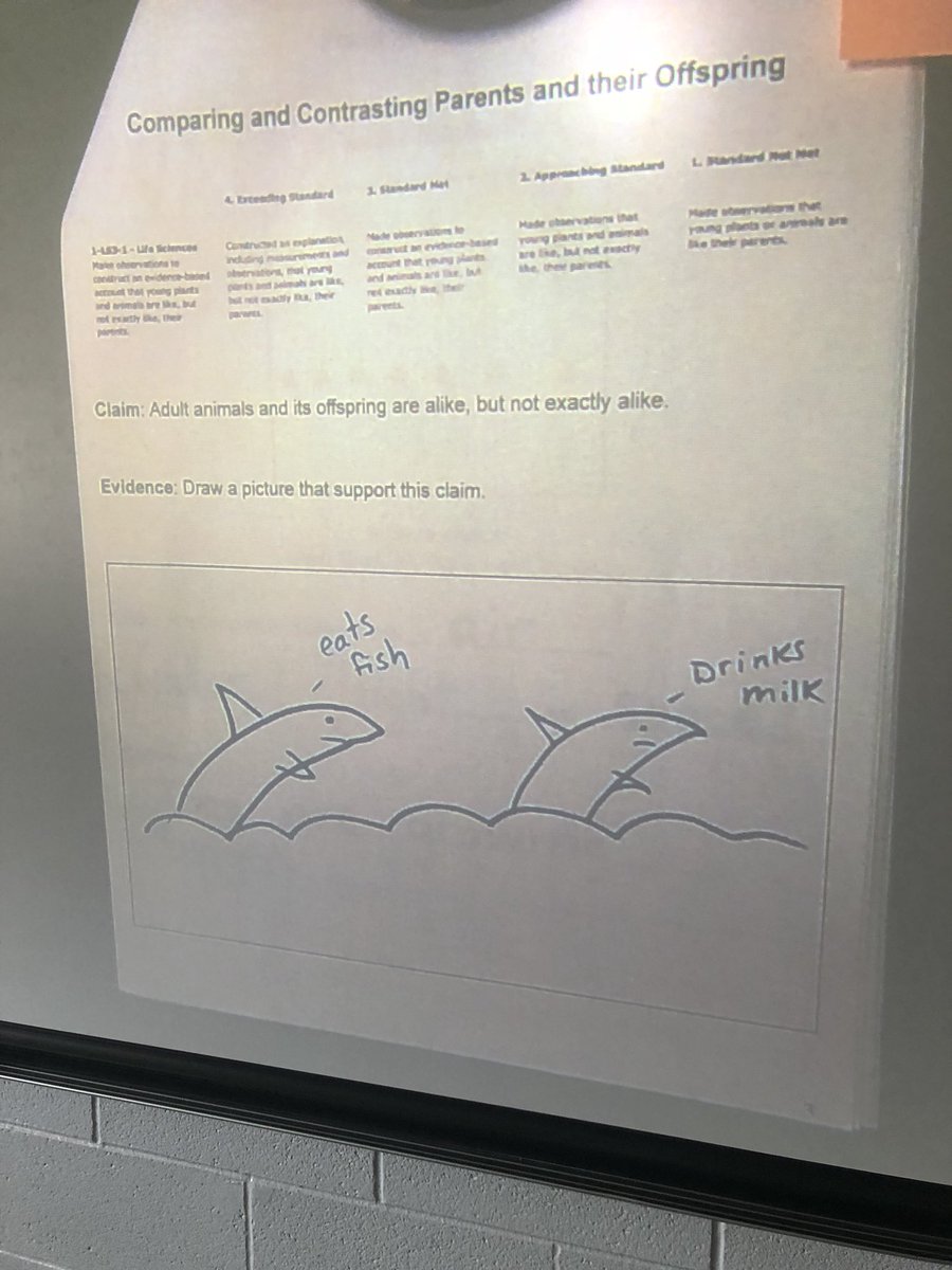 Tripp Elementary tweet media